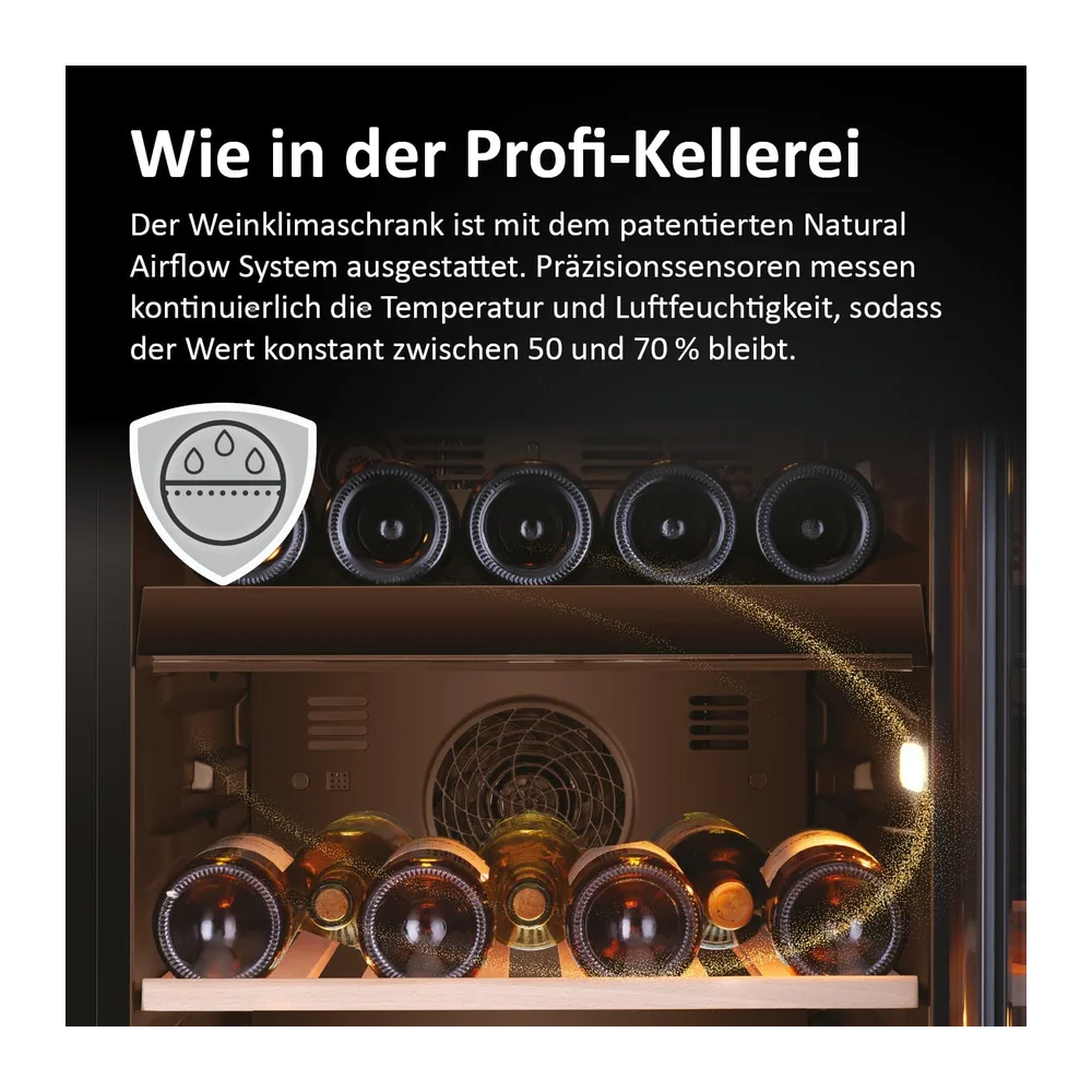 Haier Weinkühlschrank Serie 5 HWS79GDG 79 Flaschen [Energieklasse G] — 6
